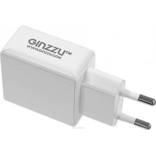 Ginzzu GA-3313UW, White сетевое зарядное устройство + кабель Lightning