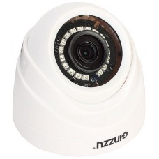 IP-камера Ginzzu HAD-1032O