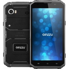 Мобильный телефон Ginzzu RS97D (черный)
