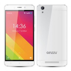 Смартфон GINZZU S5120, белый